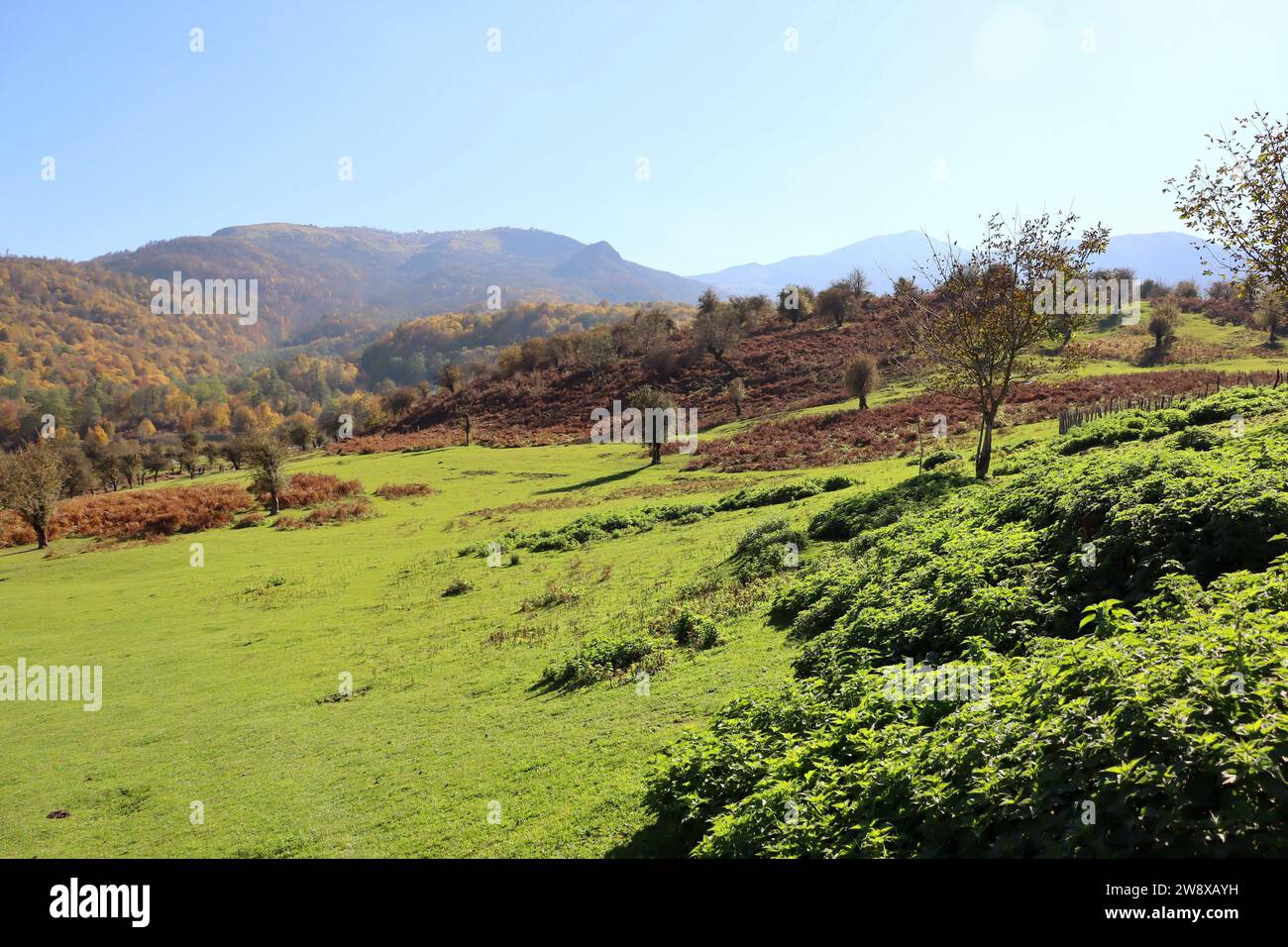 Le beau paysage et la nature de la province de Mazandaran dans le nord de l'Iran Banque D'Images