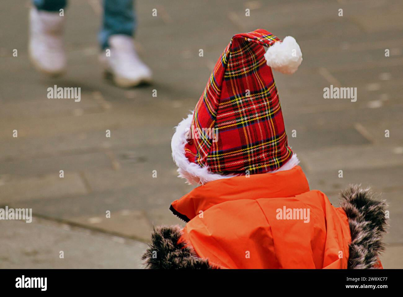 Glasgow, Écosse, Royaume-Uni. 22 décembre 2023. Shopping de Noël sur la capitale du shopping de l'écosse, Buchanan Street, le style Mile ou Golden Z. Credit Gerard Ferry / Alamy Live News Banque D'Images