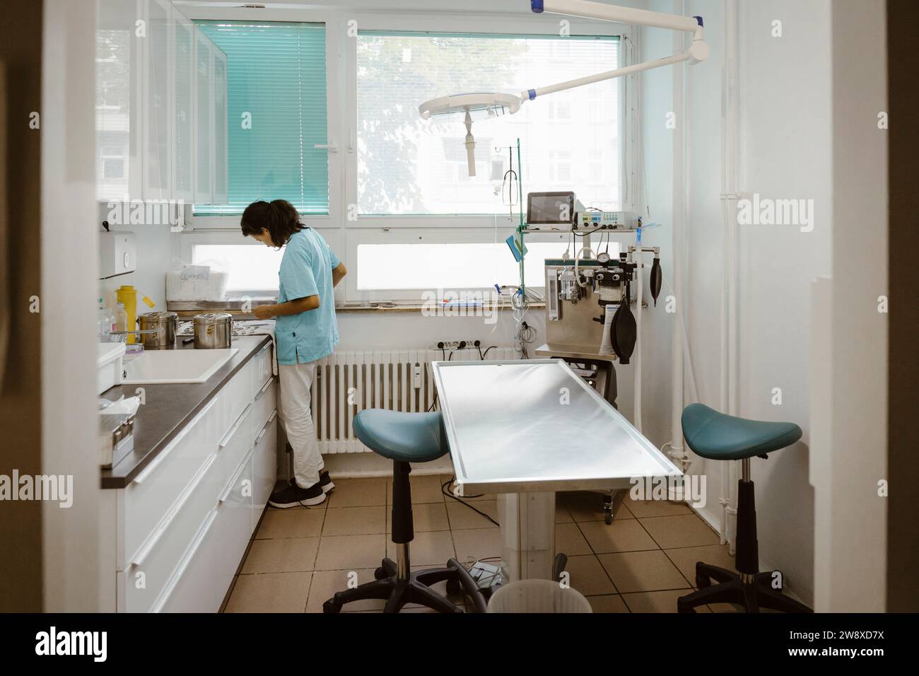 Jeune infirmière travaillant en clinique vétérinaire Banque D'Images