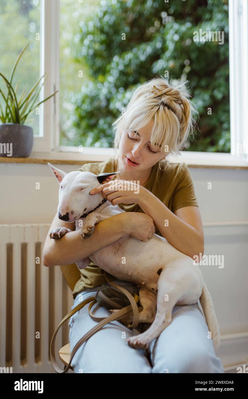 Femme blonde jouant avec Bull terrier en attendant dans la clinique vétérinaire Banque D'Images