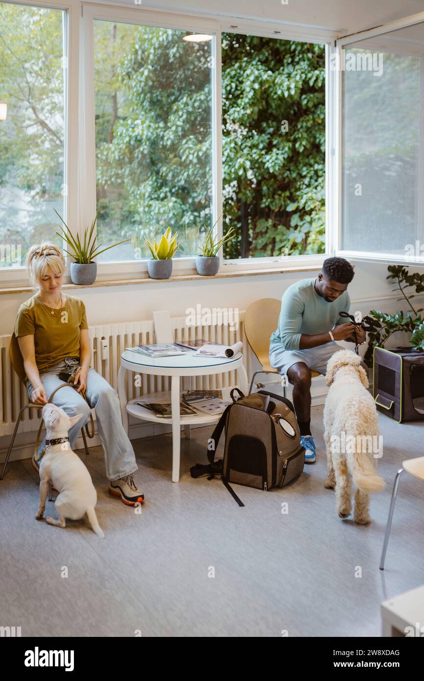 Homme et femme assis sur des chaises en attendant avec des chiens à l'hôpital animal Banque D'Images