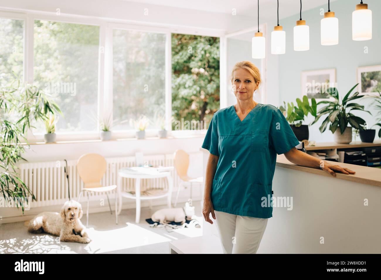 Portrait d'une vétérinaire confiante à l'accueil en clinique vétérinaire Banque D'Images