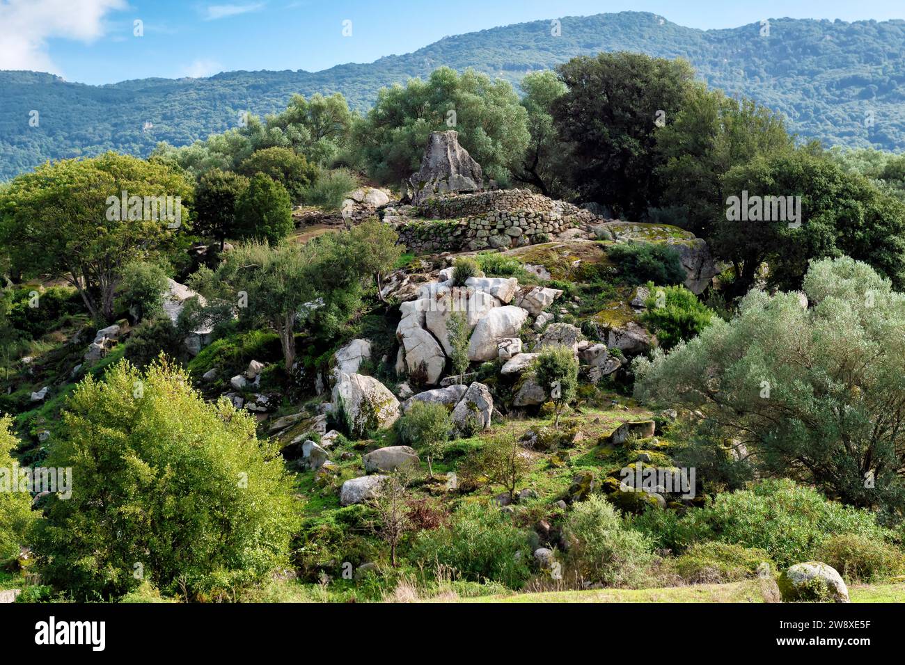 Le site mégalithique de Filitosai, Corse du Sud, France Banque D'Images