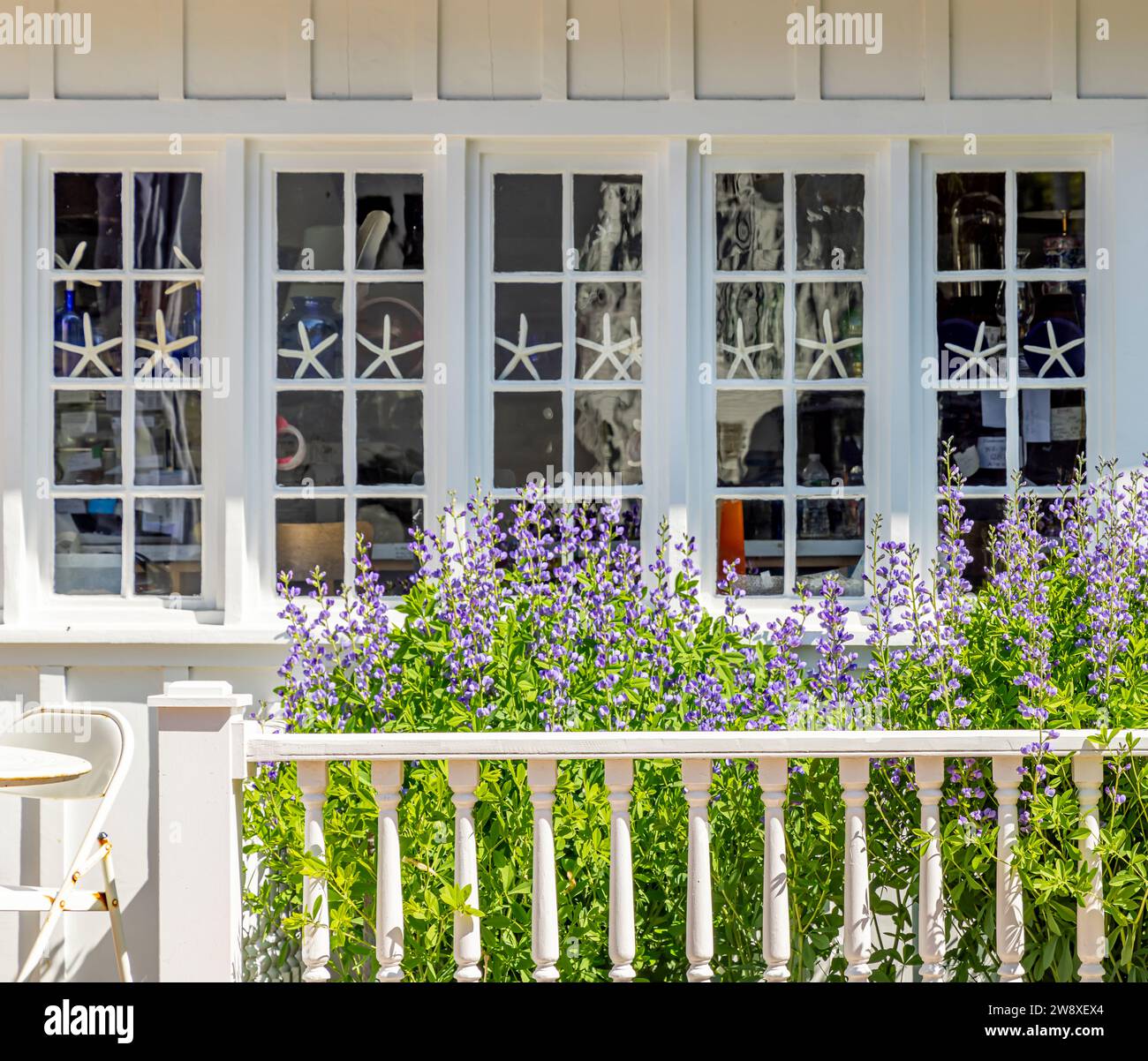 image détaillée d'une petite vitrine avec des étoiles de mer dans le village de port de flèche Banque D'Images