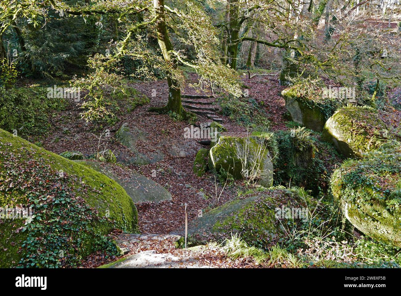 Foret domaniale de Huelgoat, Finistère, Bretagne, France, Europe Banque D'Images