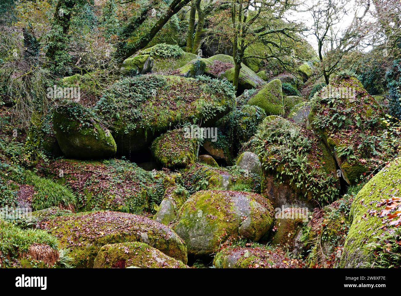 Foret domaniale de Huelgoat, Finistère, Bretagne, France, Europe Banque D'Images