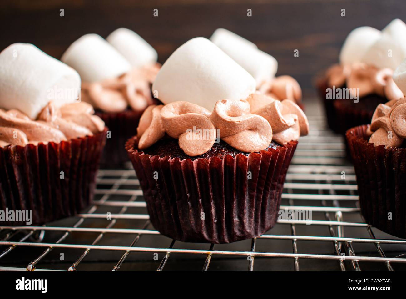 Cupcakes au chocolat chaud garnis de guimauves géantes : cupcakes au chocolat avec glaçage au chocolat chaud et garniture de guimauve Banque D'Images