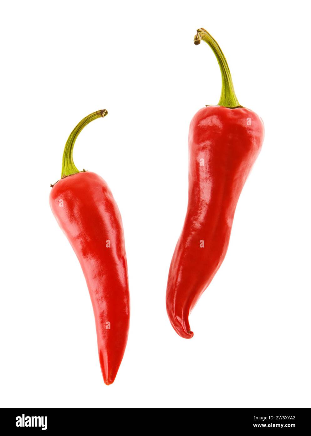 Peper isolé Banque D'Images