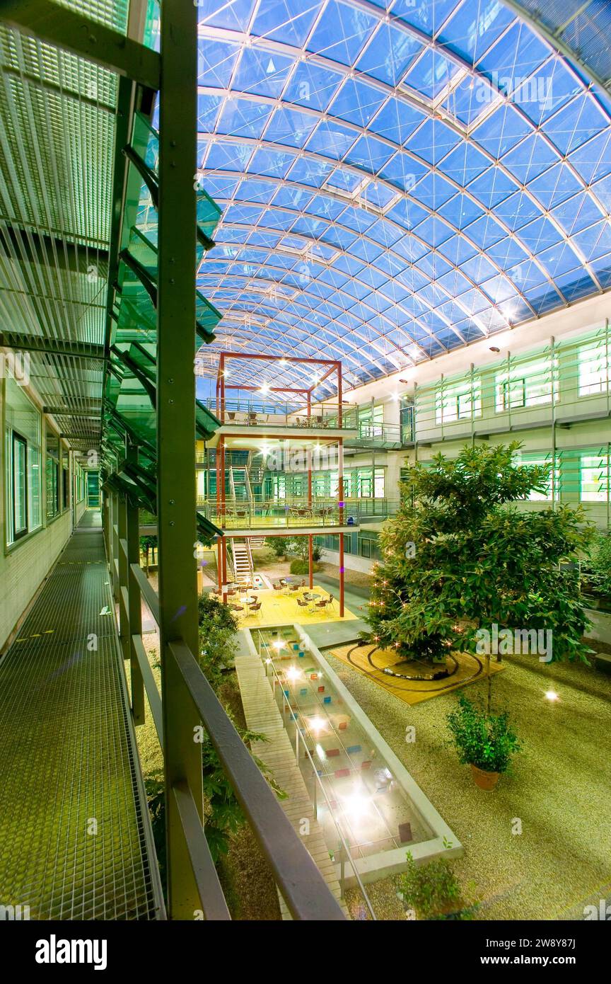 Jardin d'hiver à l'Institut Max Planck pour la physique chimique des solides à Dresde Banque D'Images