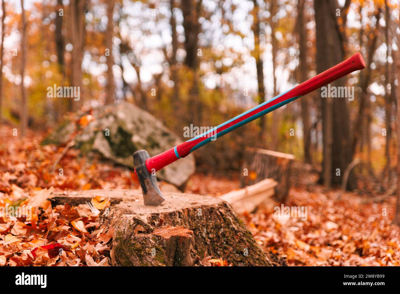 Une hache coincée dans la souche d'arbre à l'automne avec bois haché et bois derrière Banque D'Images
