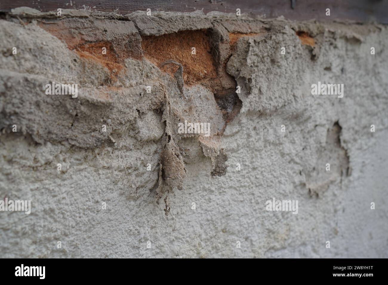 les murs du bâtiment commencent à se peler avec l'âge Banque D'Images