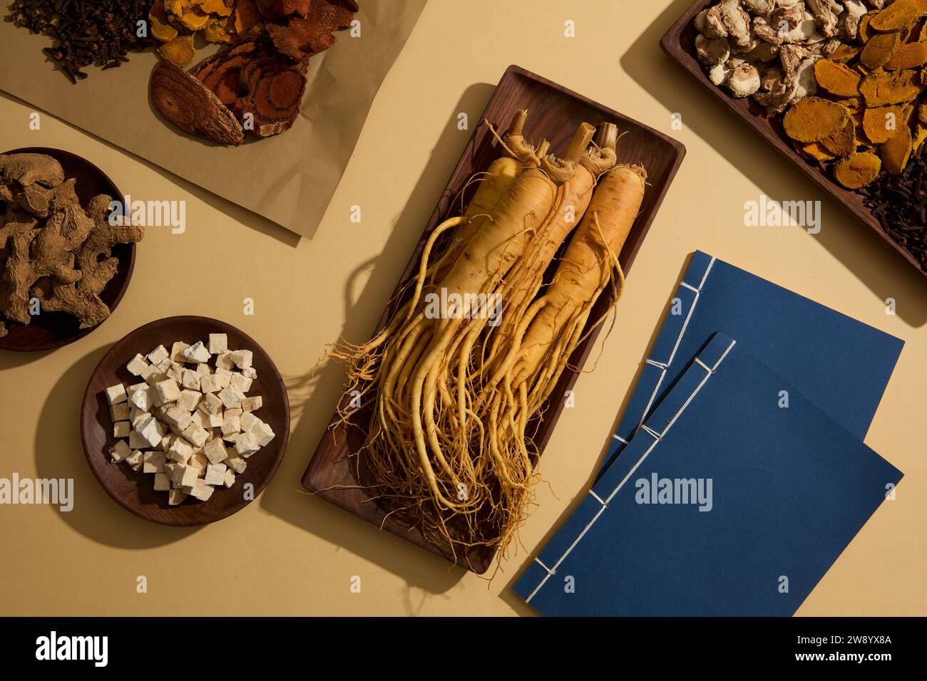 Sur le fond beige, des racines de ginseng et des types d'herbes sur des plateaux en bois décorés de deux cahiers bleus pour enregistrer des informations sur les médicaments. Banque D'Images