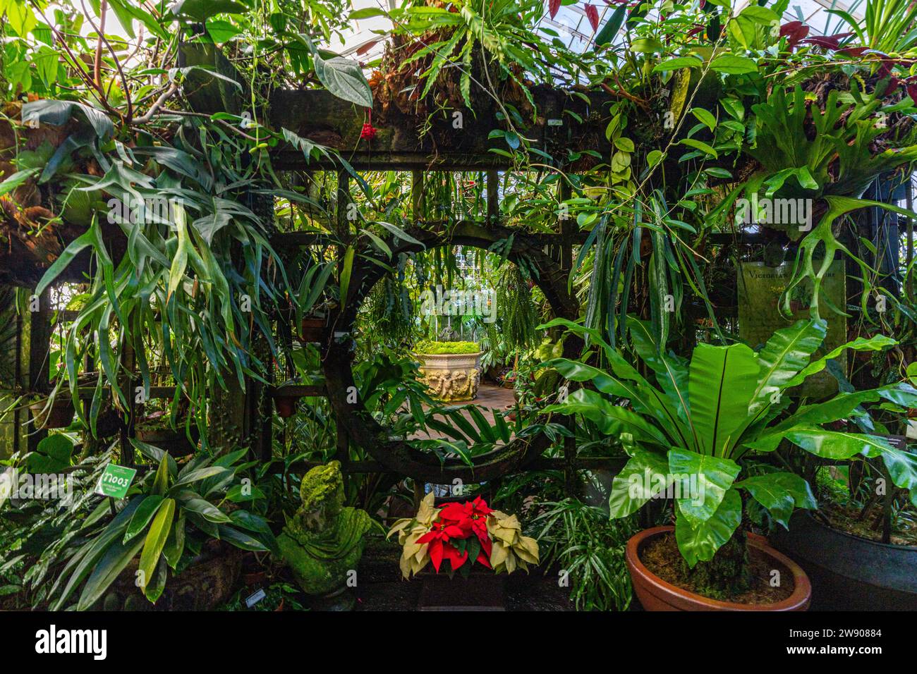 Le Conservatoire des fleurs est une serre et un jardin botanique qui abrite une collection de plantes rares et exotiques dans Golden Gate Park, avec construction Banque D'Images