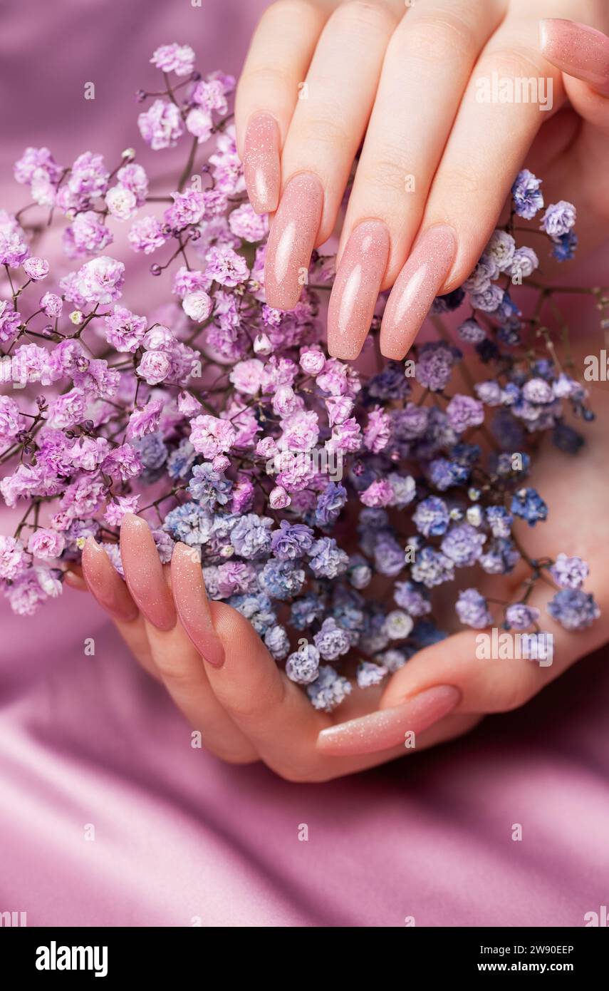 Les mains féminines avec un design de clou rose tiennent des fleurs de gypsophila. Manucure de vernis à ongles rose sur fond rose Banque D'Images