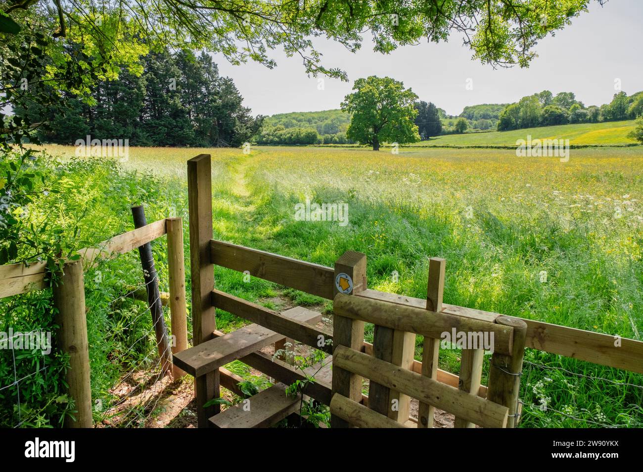 Stile sur le sentier Herefordshire Way à travers la campagne de Golden Valley. Peterchurch, Hereford, Herefordshire, Angleterre, Royaume-Uni, Grande-Bretagne Banque D'Images