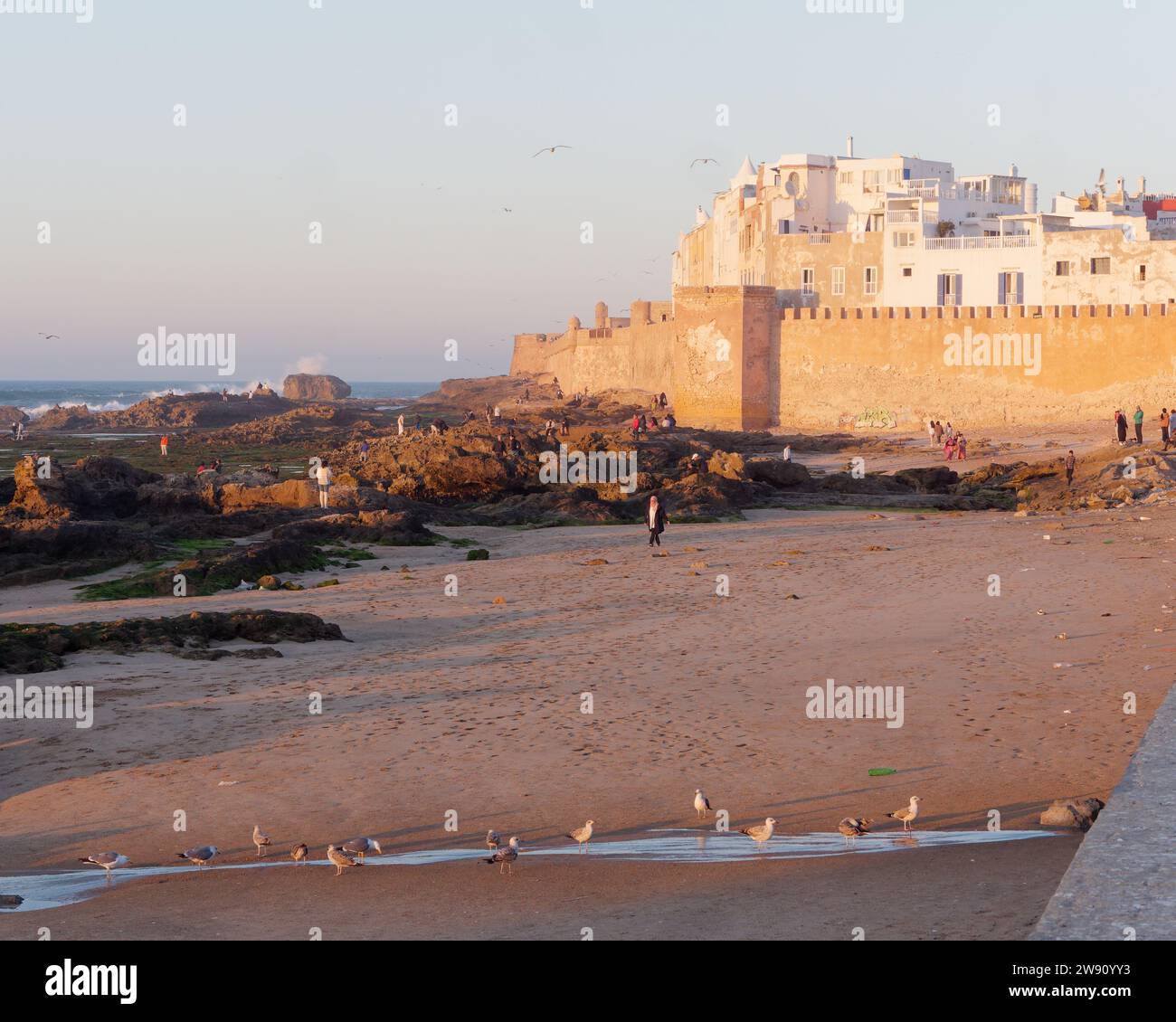 Oiseaux et gens sur une plage de sable rocheux au coucher du soleil avec la médina couverte de lumière dorée, à Essaouira, Maroc. 22 décembre 2023 Banque D'Images
