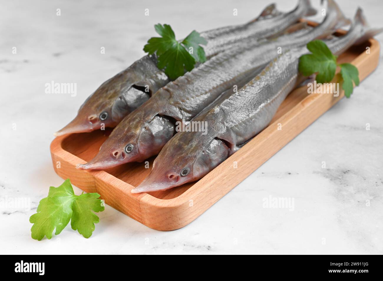 Poisson-sterlet cru sur une assiette en bois avant de cuisiner et de servir avec du poivre Banque D'Images