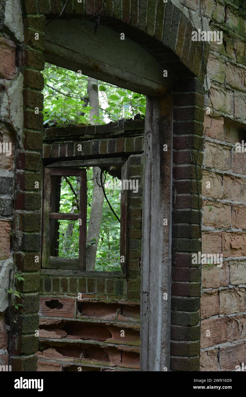 Bâtiment abandonné dans les bois Banque D'Images