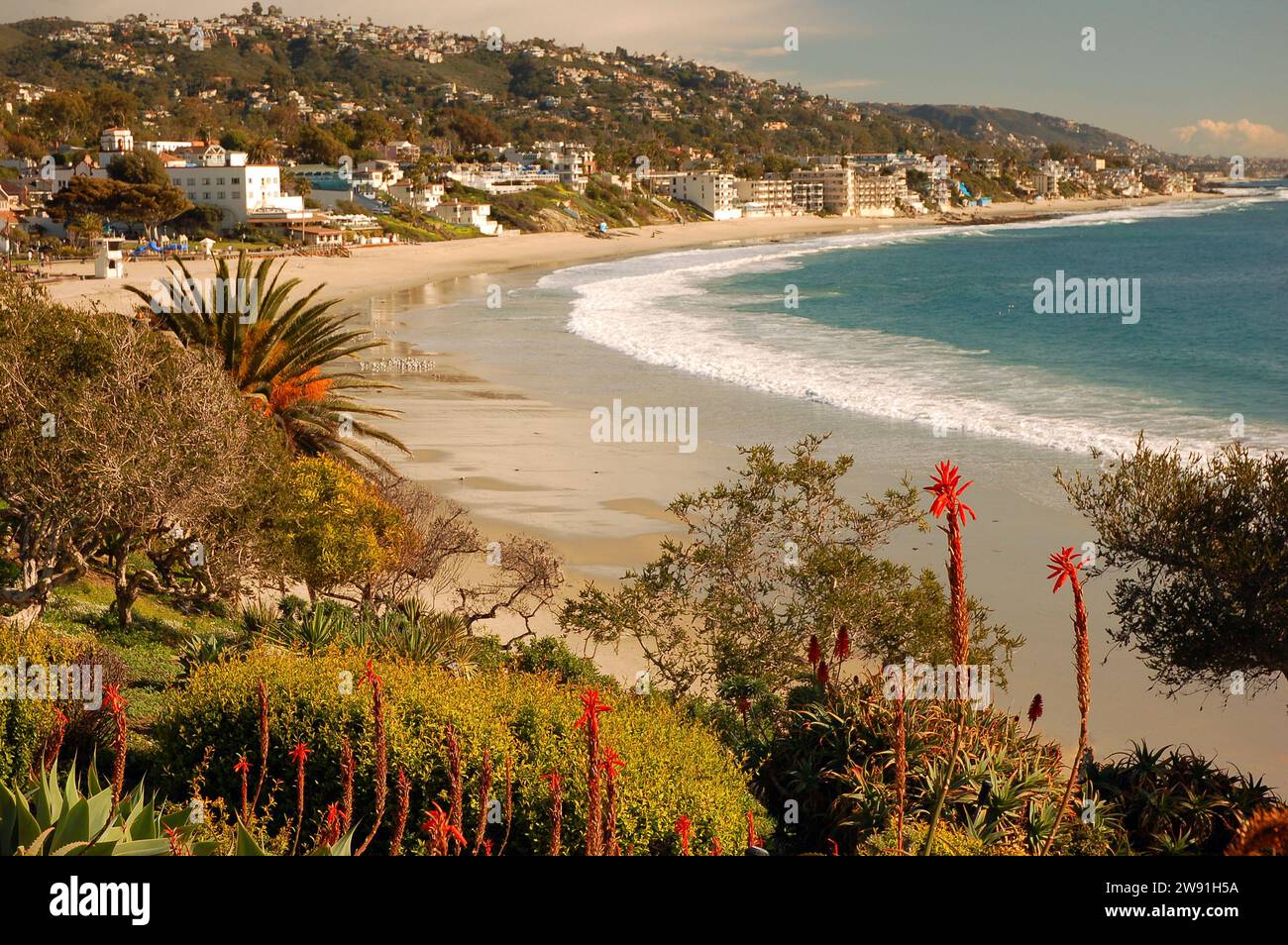 Une vue depuis les falaises de Laguna Beach, Californie montre la courbe du rivage et le jardin de fleurs dans les falaises au-dessus Banque D'Images