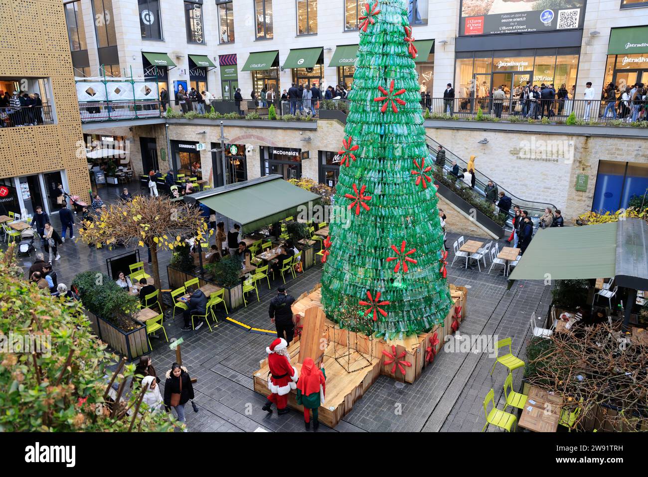 Bordeaux, France. 23 décembre 2023. Ecologie et sapin de Noël 100% éco-responsable. Ce sapin de 