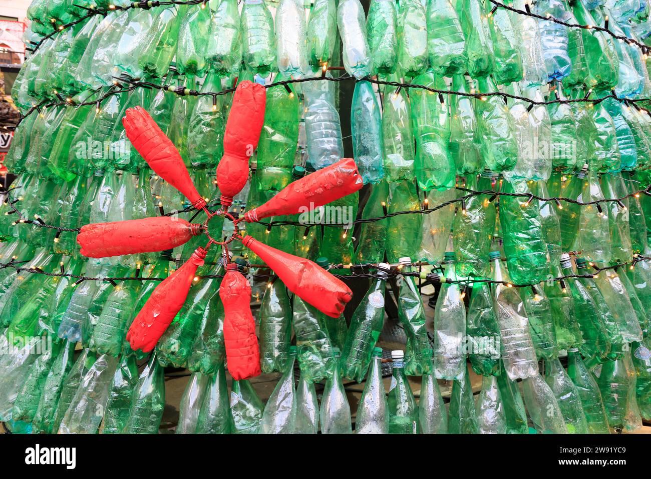 Bordeaux, France. 23 décembre 2023. Ecologie et sapin de Noël 100% éco-responsable. Ce sapin de 