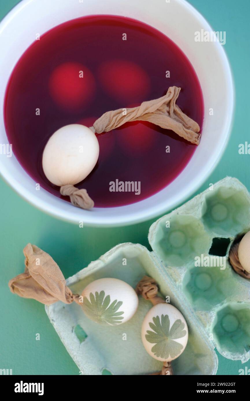 Teinture des œufs de Pâques dans un bol avec un colorant rouge Banque D'Images
