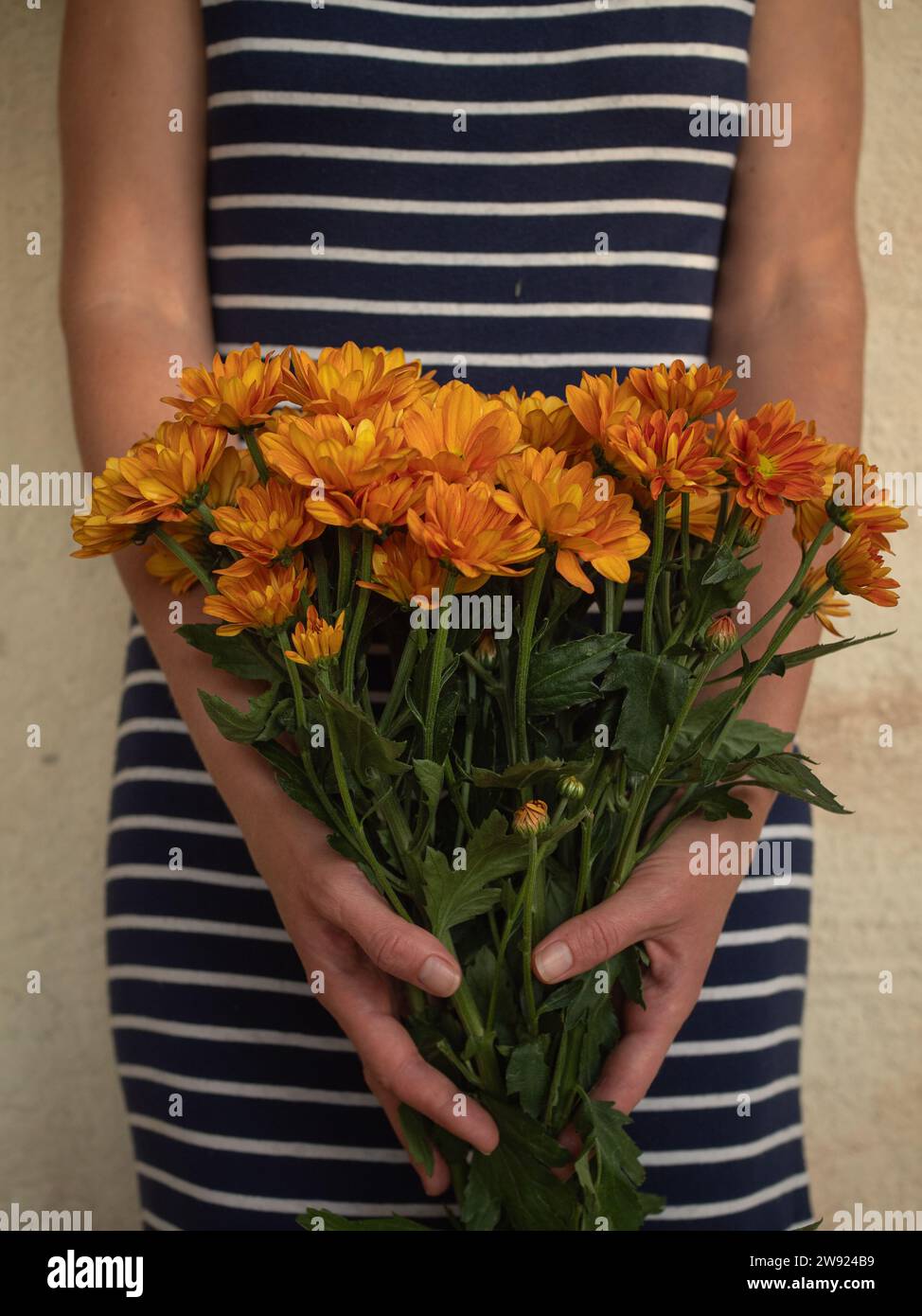 Un gros plan vertical d'une femme dans une robe rayée tenant un bouquet de chrysanthèmes orange. Banque D'Images
