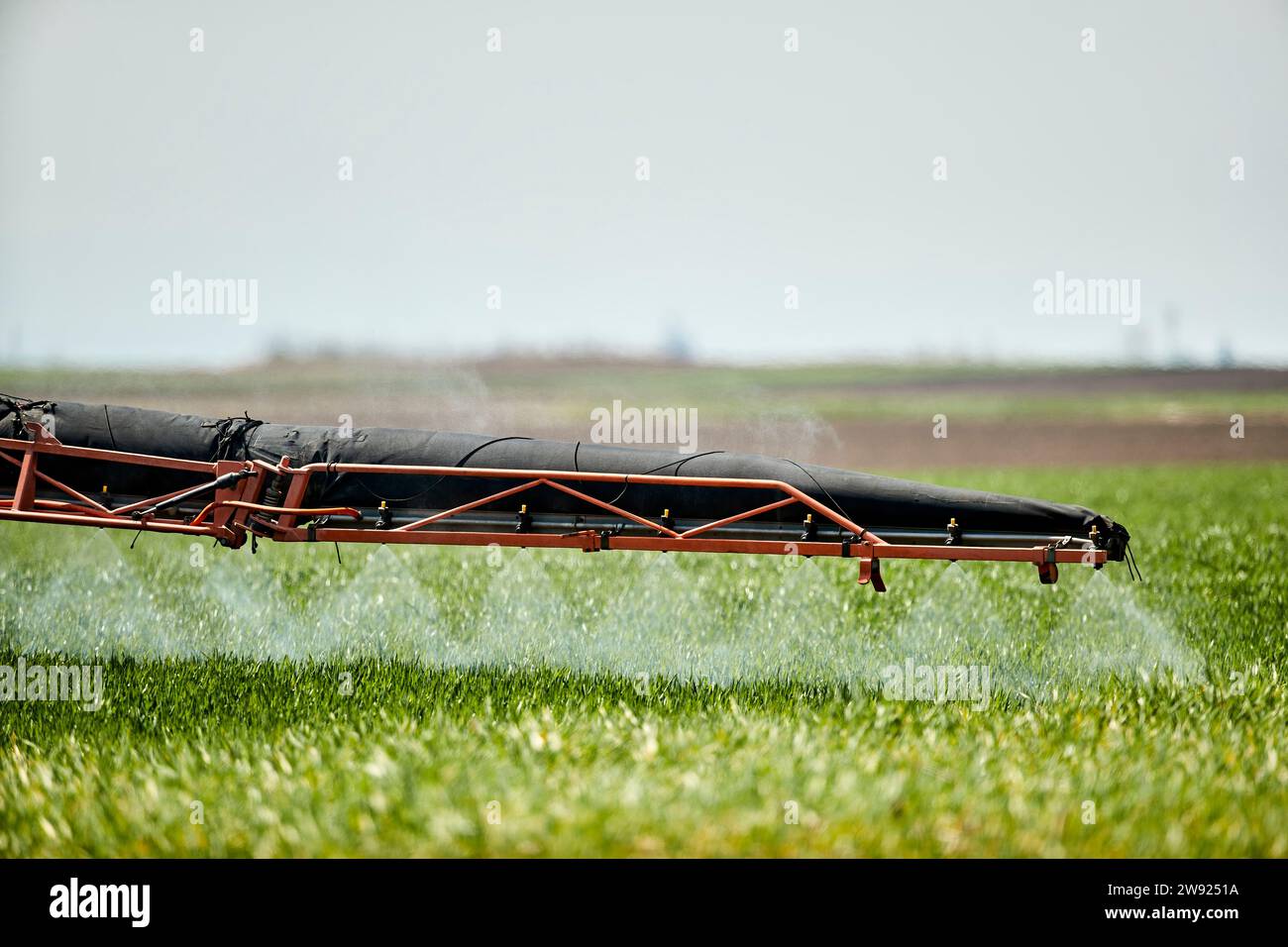Serbie, province de Voïvodine, tracteur pulvérisant de l'herbicide dans un champ de blé printanier Banque D'Images Serbie, province de Voïvodine, tracteur pulvérisant de l'herbicide dans un champ de blé printanier Banque D'Images