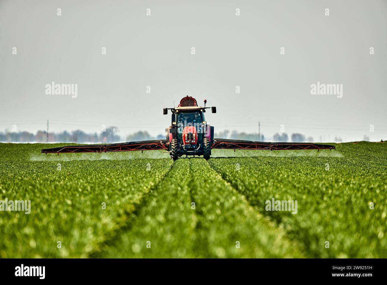 Serbie, province de Voïvodine, tracteur pulvérisant de l'herbicide dans un vaste champ de blé vert Banque D'Images Serbie, province de Voïvodine, tracteur pulvérisant de l'herbicide dans un vaste champ de blé vert Banque D'Images