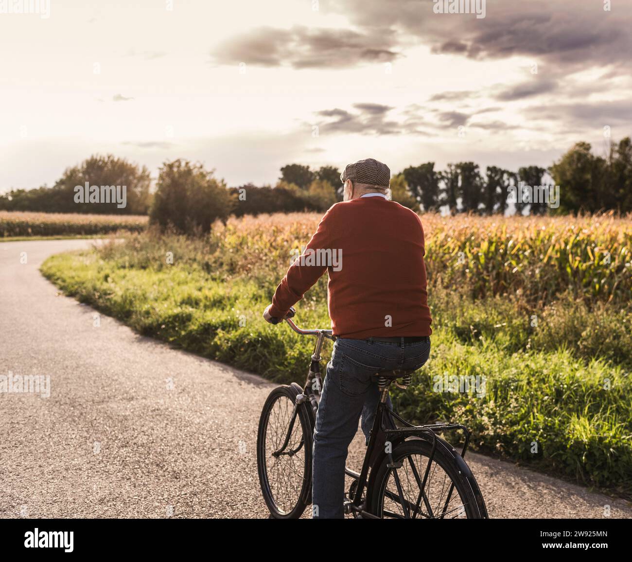 Homme senior faisant du vélo sur la route près du champ Banque D'Images