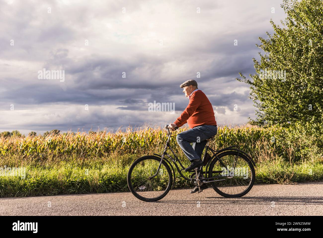 Homme senior vélo sur la route près des plantes Banque D'Images