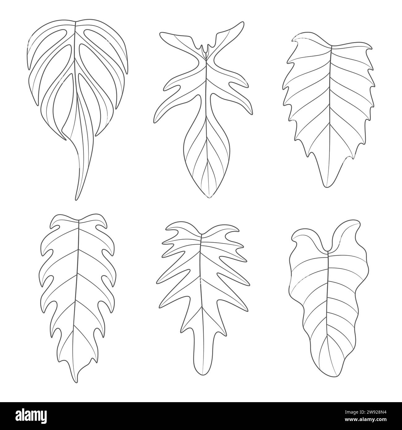 Ensemble d'illustrations en noir et blanc avec des feuilles de plante monstera creeper. Objets vectoriels isolés sur fond blanc. Illustration de Vecteur