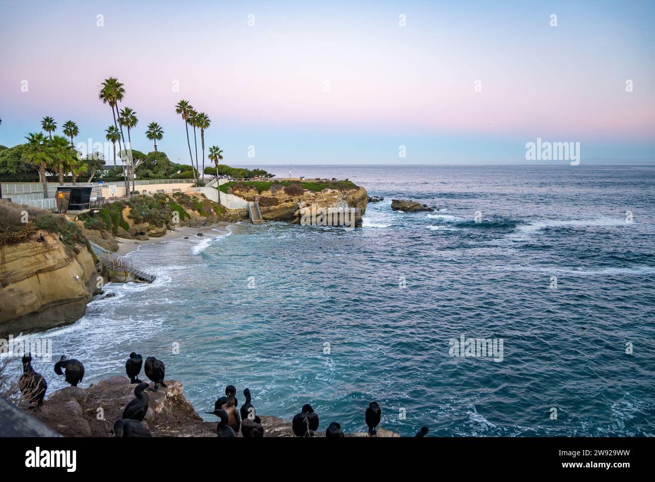 La Jolla Cove attire les gens et la faune. La Jolla, Californie, États-Unis. Banque D'Images