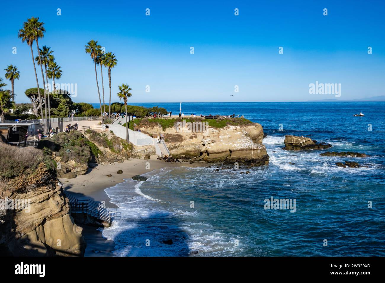 La Jolla Cove attire les gens et la faune. La Jolla, Californie, États-Unis. Banque D'Images
