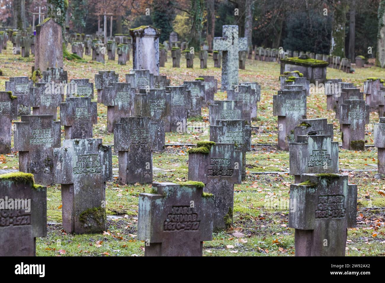 Cimetière des soldats tombés au combat des guerres mondiales, photo symbolique pour les journées du souvenir en novembre. Cimetière forestier de Stuttgart Banque D'Images