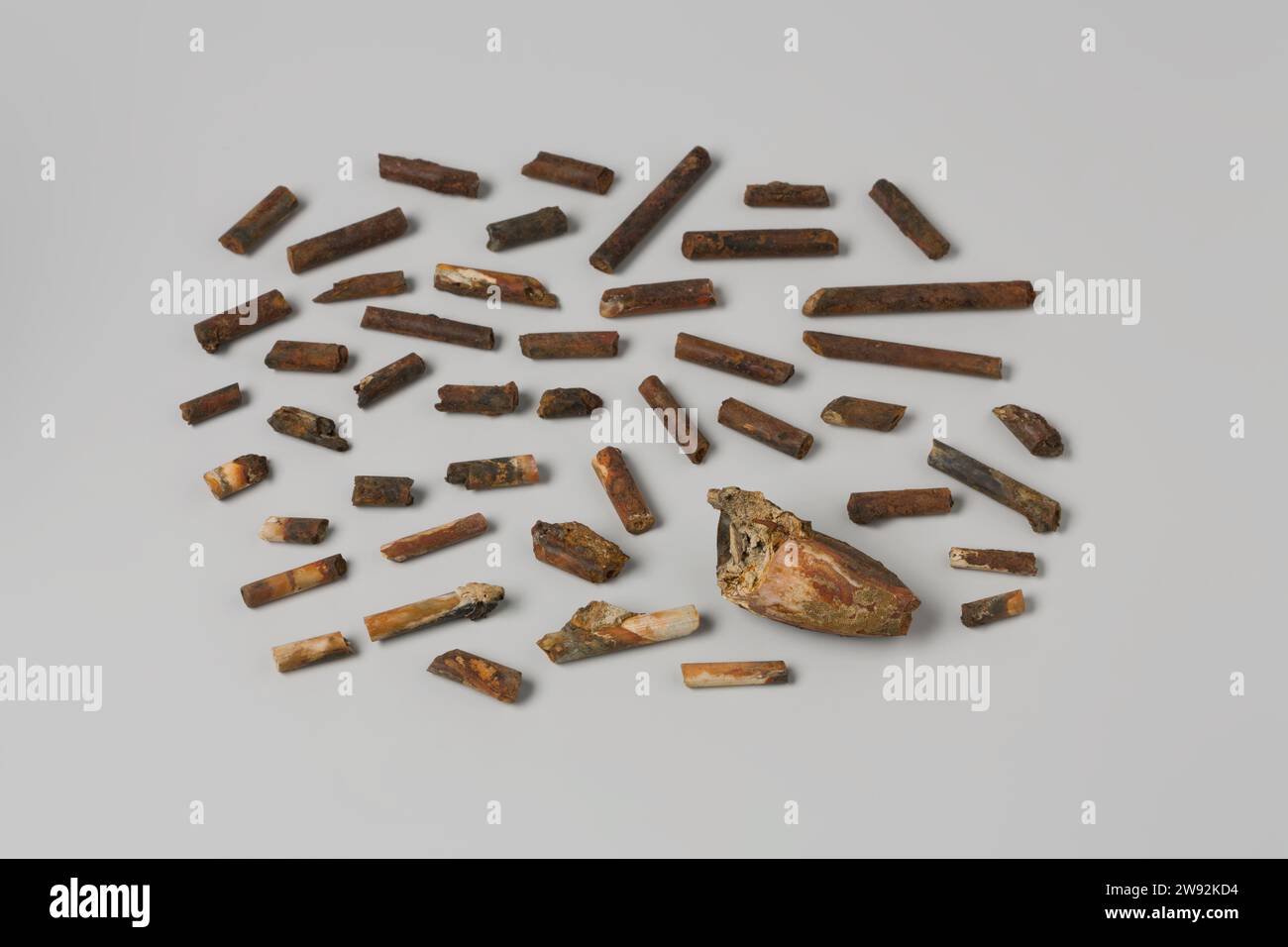 Extrait d'une tête de tuyau et de tuyaux de l'épave du t Vliegend Hart des Indiens de l'est, 1700 - 1735 tête d'une tige Goudse en terre remplie de gâteaux brunâtres. 45 morceaux de tige très courts, tous avec attaque rouille-brun. Argile pour tuyaux Gouda Banque D'Images