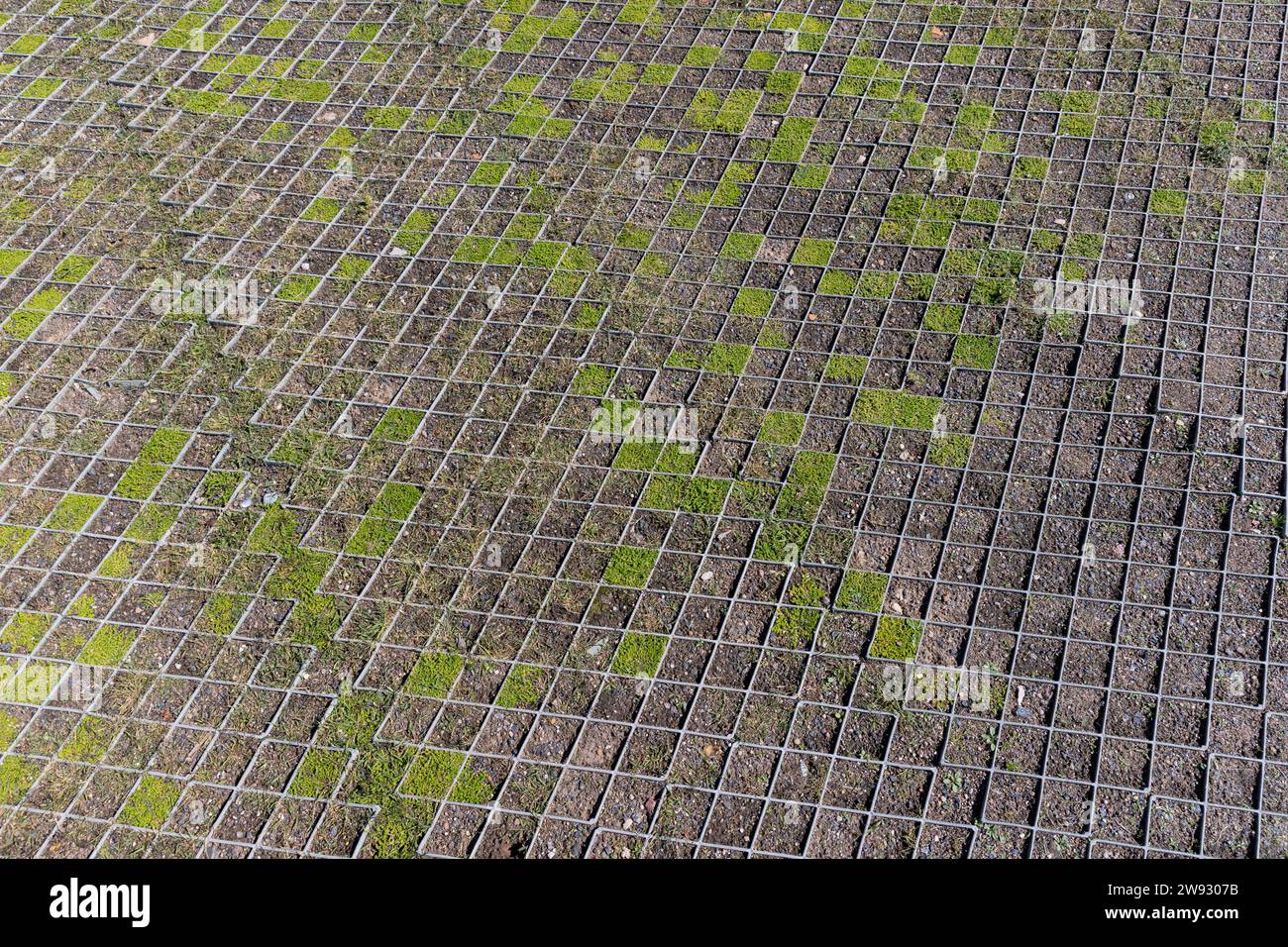 maille de gravier pour renforcer le sol et le gravier sur la pente, herbe verte cultivée à travers des cellules de maille en plastique sur la pente près de la rive de la rivière Banque D'Images