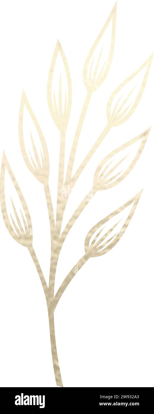 Séparateur de texte, bordure, bordure de texte, or avec fond transparent Illustration de Vecteur