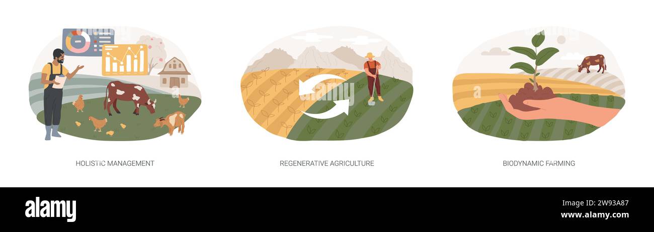 Ensemble d'illustrations vectorielles de concept isolé de gestion des terres. Gestion holistique, agriculture régénérative, agriculture biodynamique, croissance des plantes, calendrier de plantation, concept de vecteur de fertilité du sol. Illustration de Vecteur