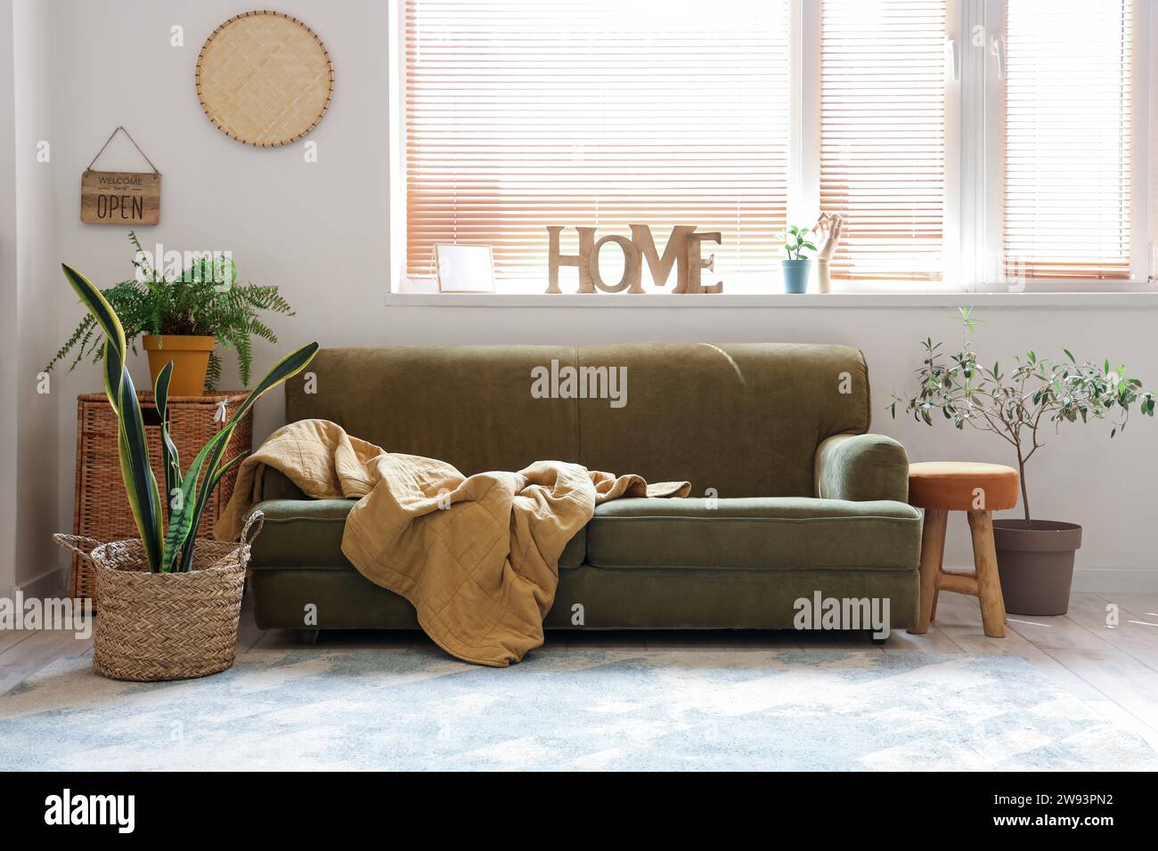 Intérieur de salon élégant avec canapé et plante d'intérieur en pot en osier Banque D'Images