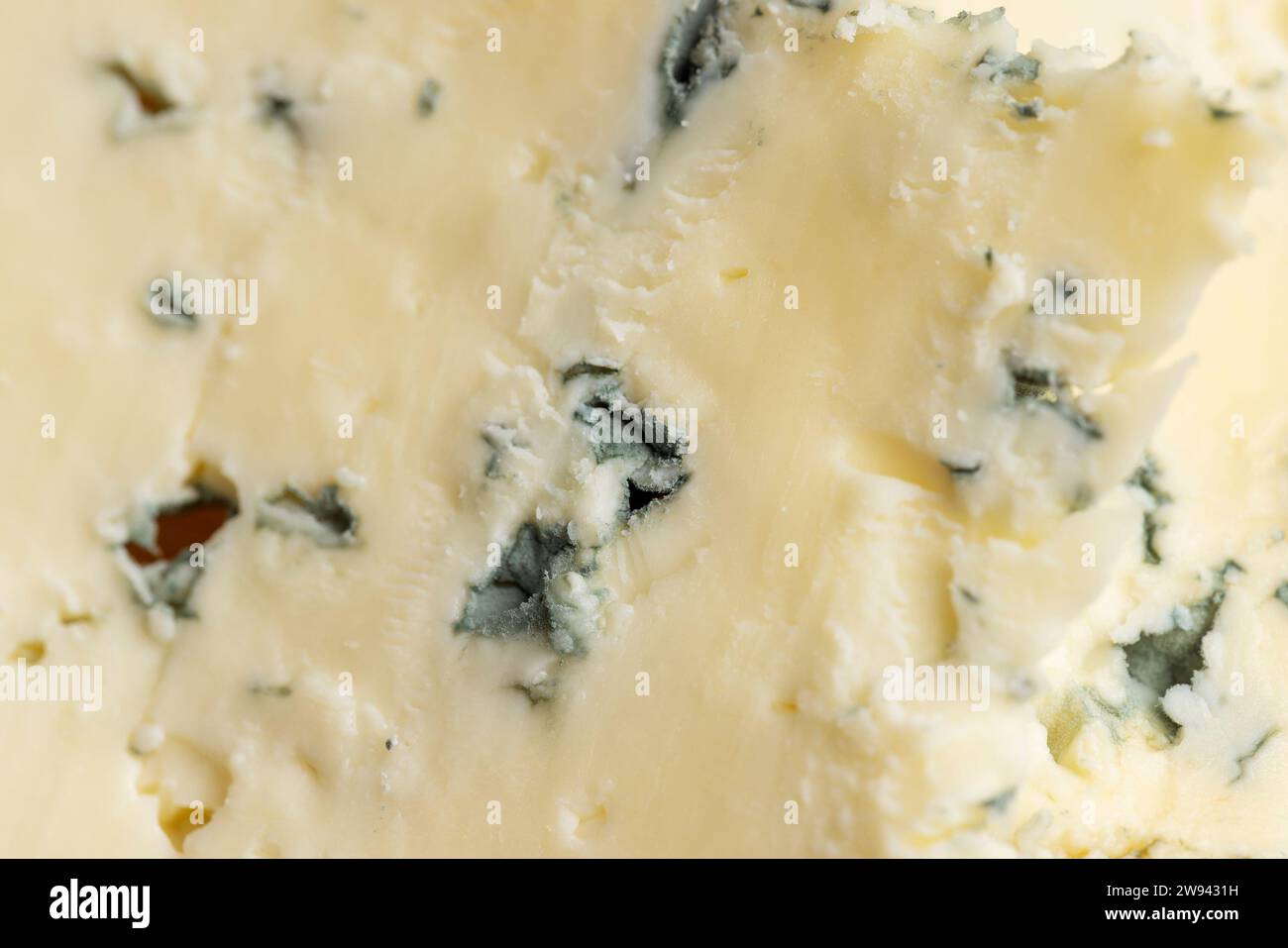 Fromage avec moule bleu coupé en morceaux, tranches de fromage avec moule bleu noble Banque D'Images