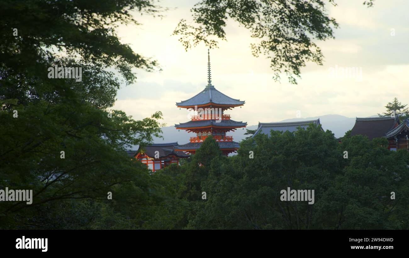 Temple du Japon dans la forêt - majestueux temple japonais entouré d'une végétation luxuriante Banque D'Images