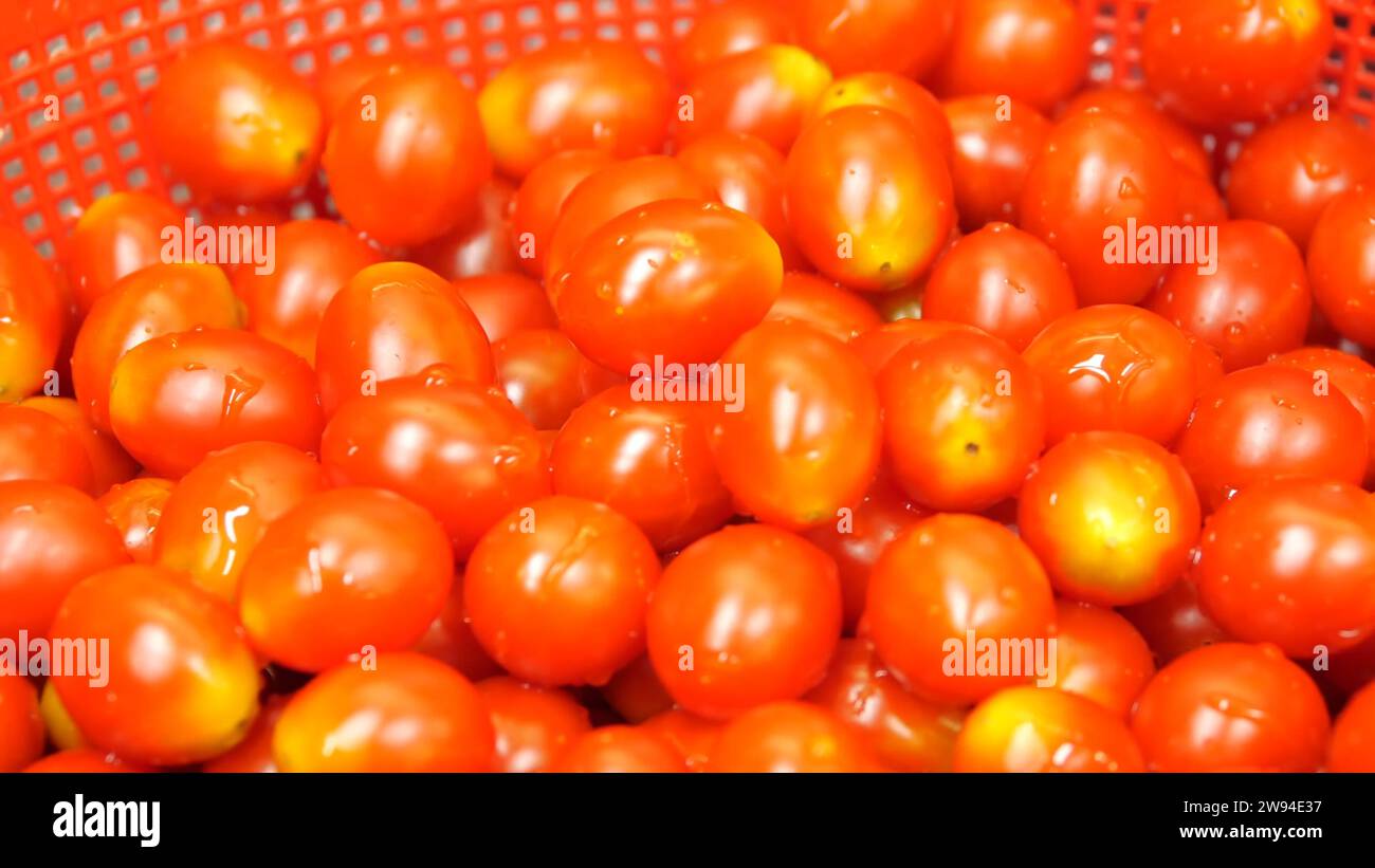 Tomates crues présentées dans leur état naturel Banque D'Images