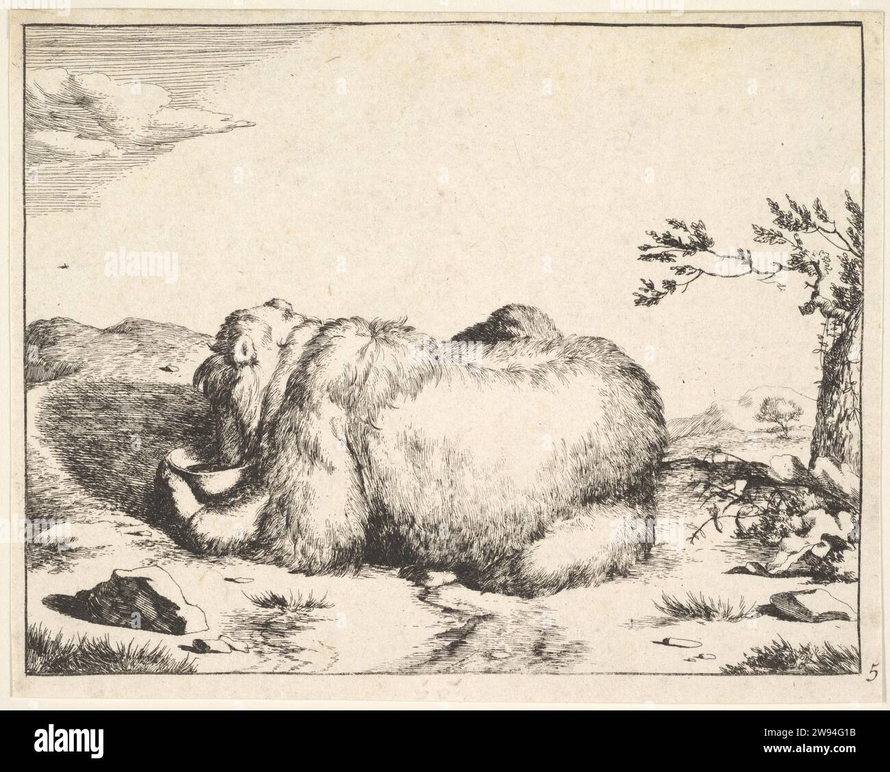 De l'ensemble des ours 2012 par Marcus de Bye Banque D'Images