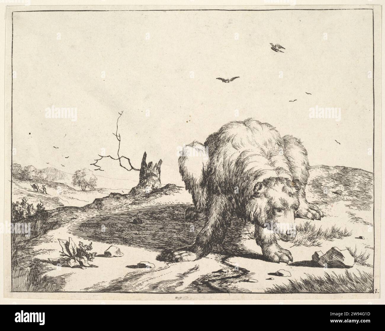 De l'ensemble des ours 2012 par Marcus de Bye Banque D'Images