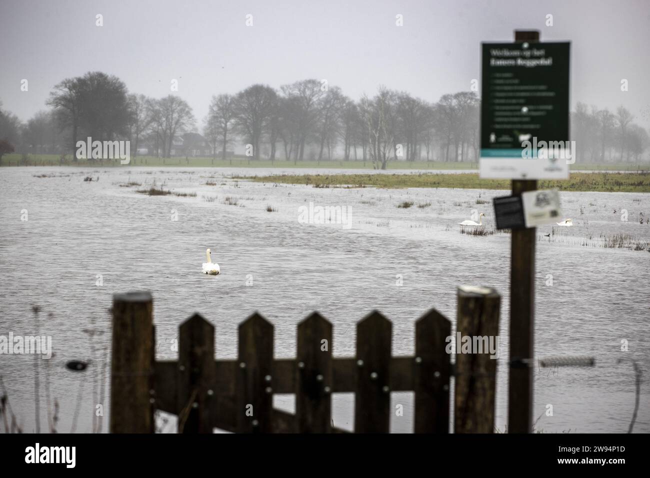 YPELO - la rivière de Regge déborde ses rives entre Enter et Ypelo. En partie à cause des pluies persistantes, le niveau de l'eau dans les rivières néerlandaises a fortement augmenté. ANP VINCENT JANNINK netherlands Out - belgique Out Banque D'Images