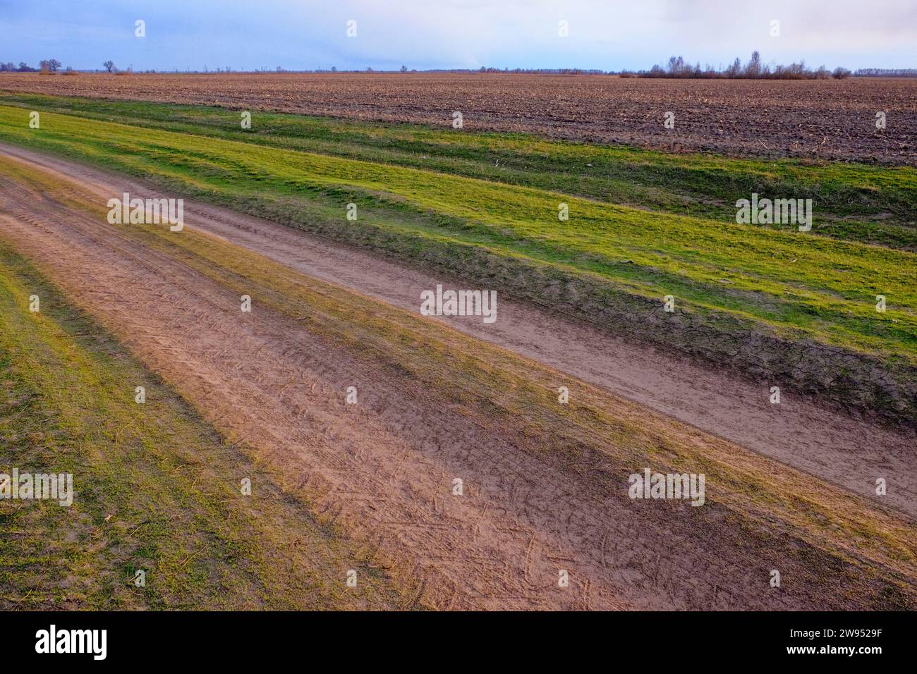 Un chemin de terre divise l'herbe verte et un champ labouré. Banque D'Images