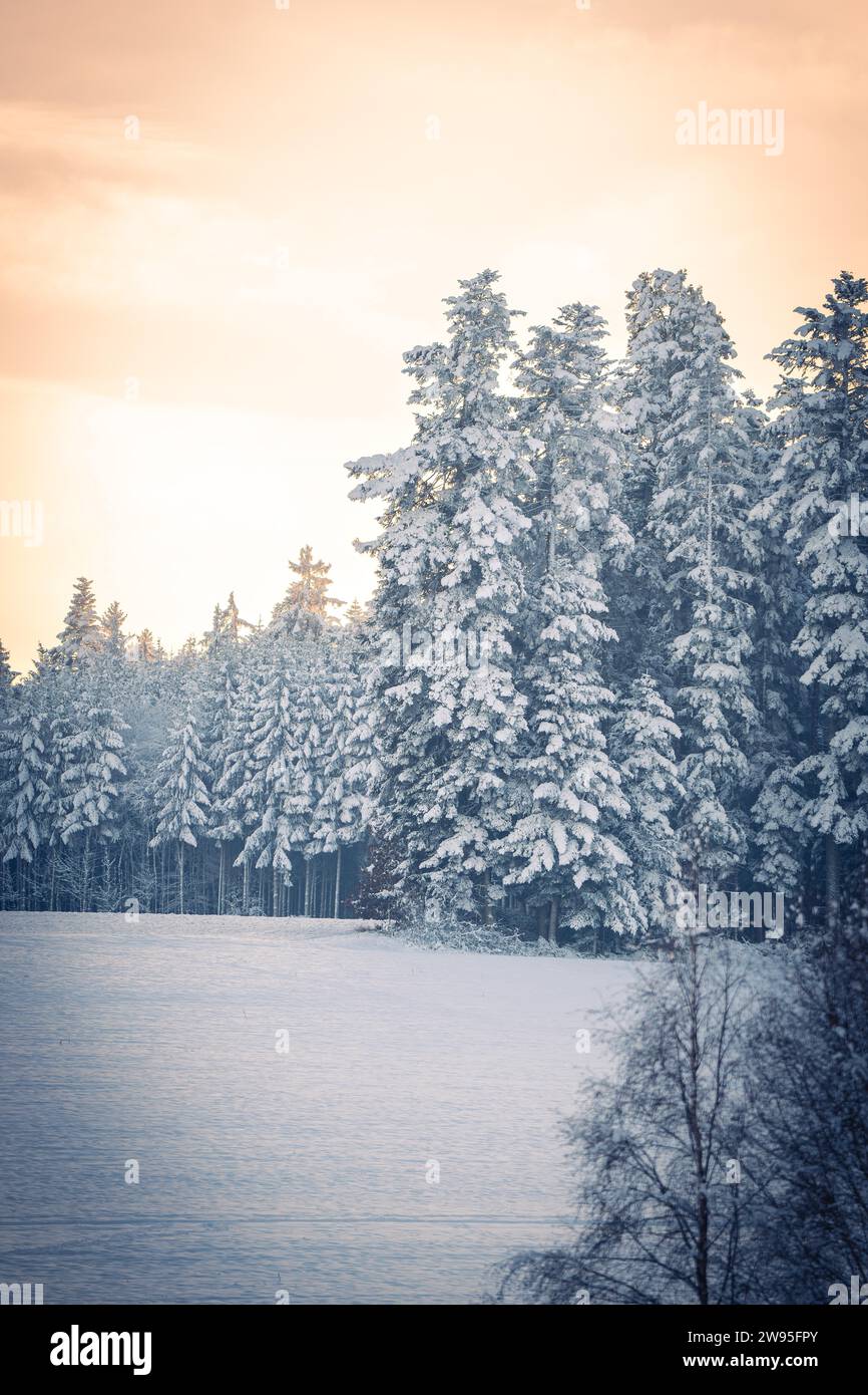 La lumière tamisée tombe sur un paysage hivernal enneigé au crépuscule, Gechingen, Forêt Noire, Allemagne Banque D'Images