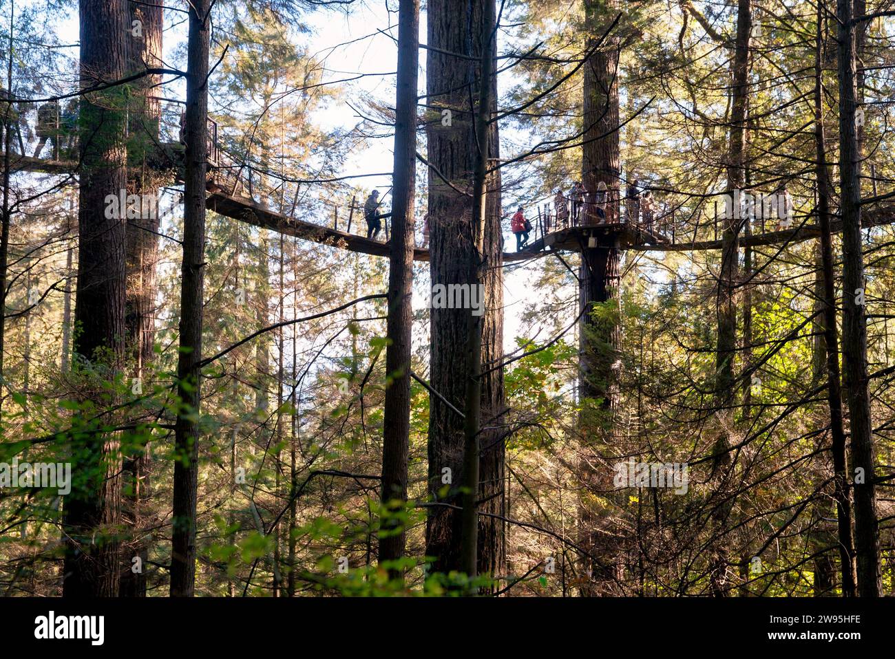 Les gens qui passent le pont suspendu de Capilano Banque D'Images