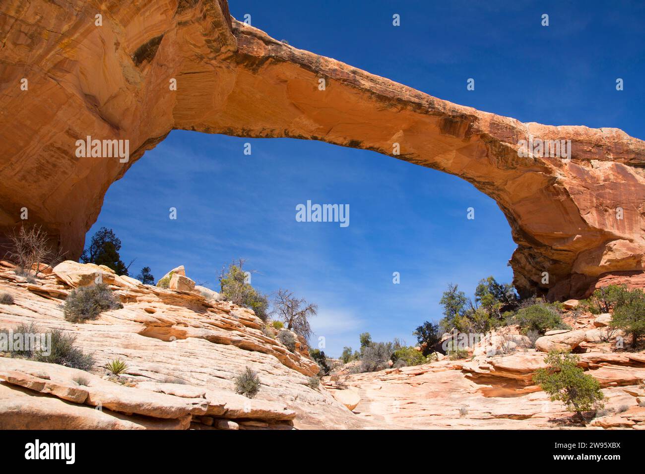 Owachoma Bridge, Natural Bridges National Monument (Utah) Banque D'Images